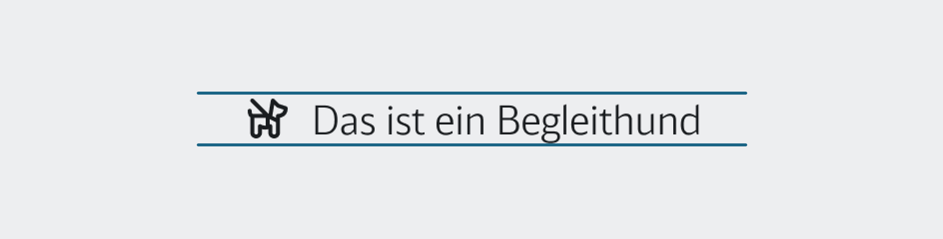 Foundation--Icons-Text