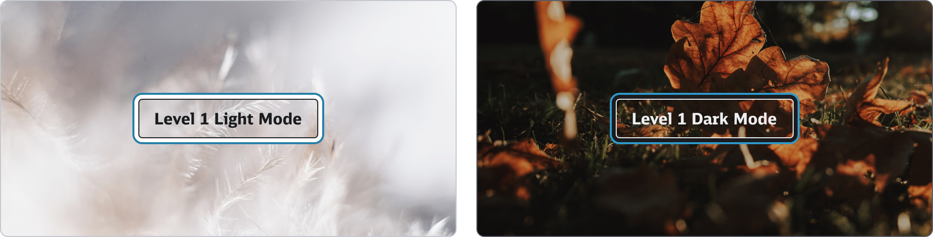 States - Interaction States - Focused Hintergrundfarbe Light und Darkmode-Image